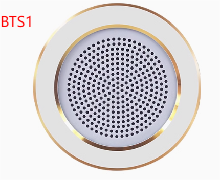 Bluetooth speaker options from CSauna accessory sheet