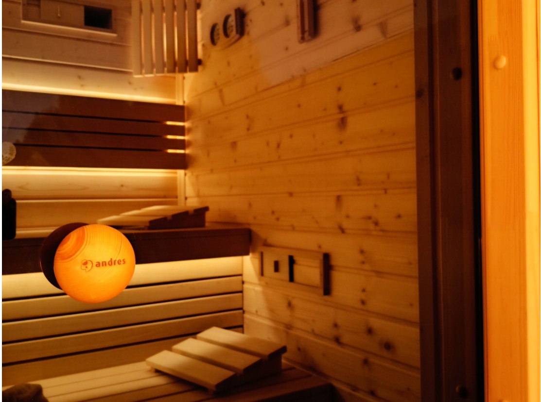 Mini Outdoor Sauna Cabin with Black Roof CSA-499 Interior detail