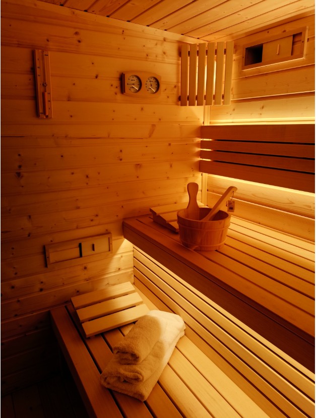 Mini Outdoor Sauna Cabin with Black Roof CSA-499 Door and glass