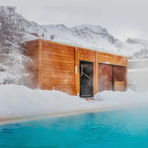 Full-Glass Outdoor Wooden Spa Sauna Cabin CSA-20 product view 4