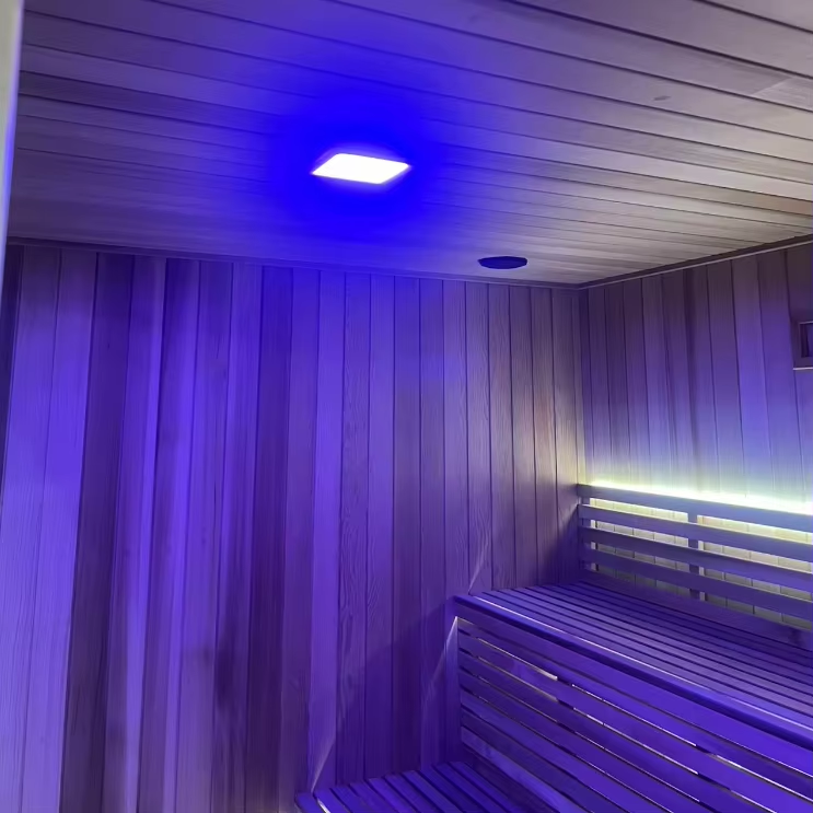 Outdoor Sauna Cabin with Shower Bay and Touch Control CSA-706 reference view 3