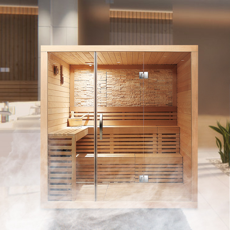 Glass-Front Indoor Sauna with Salt-Wall Accent CSA-945 reference view 2
